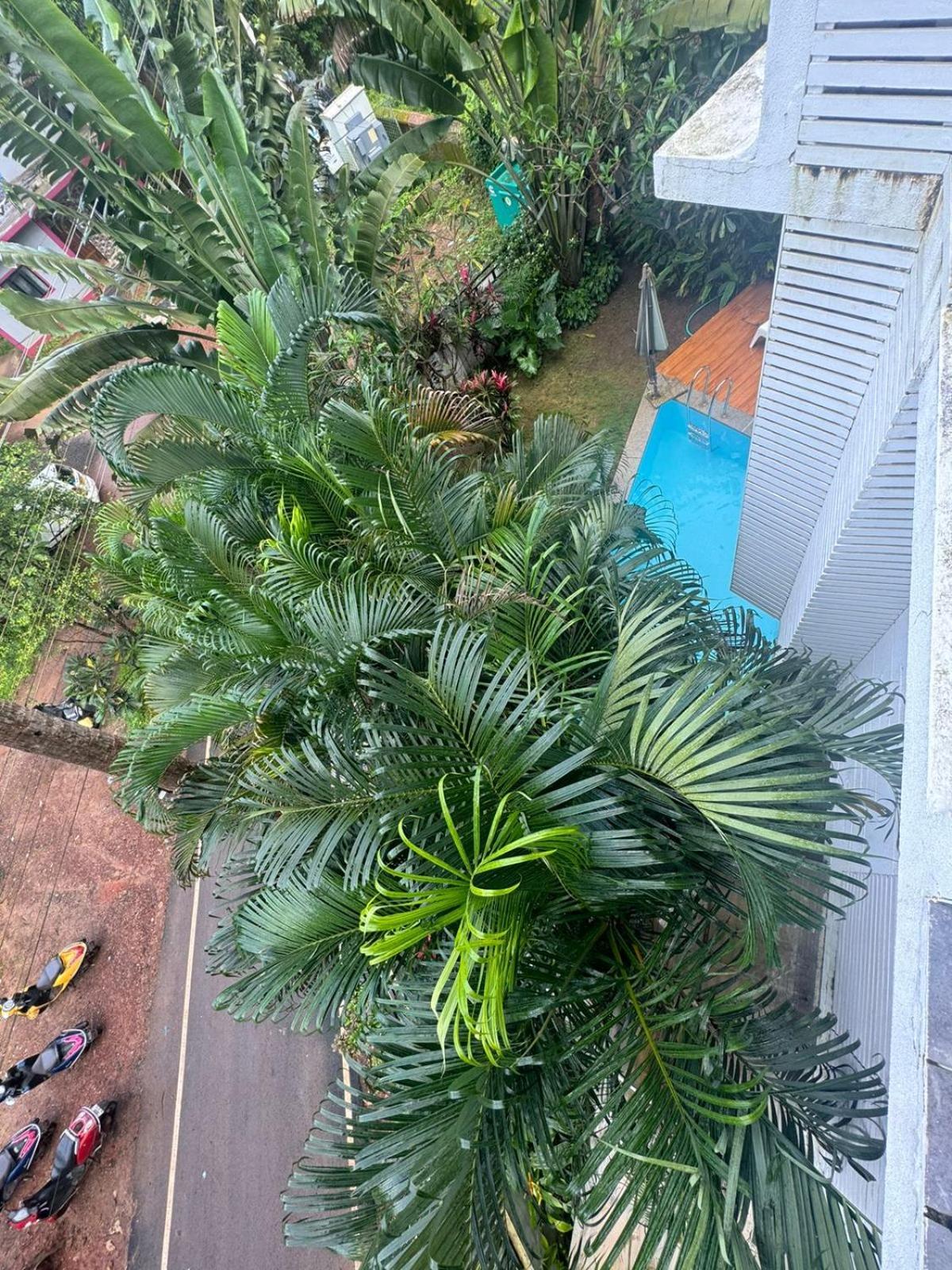Half Hotel, Calangute Luaran gambar